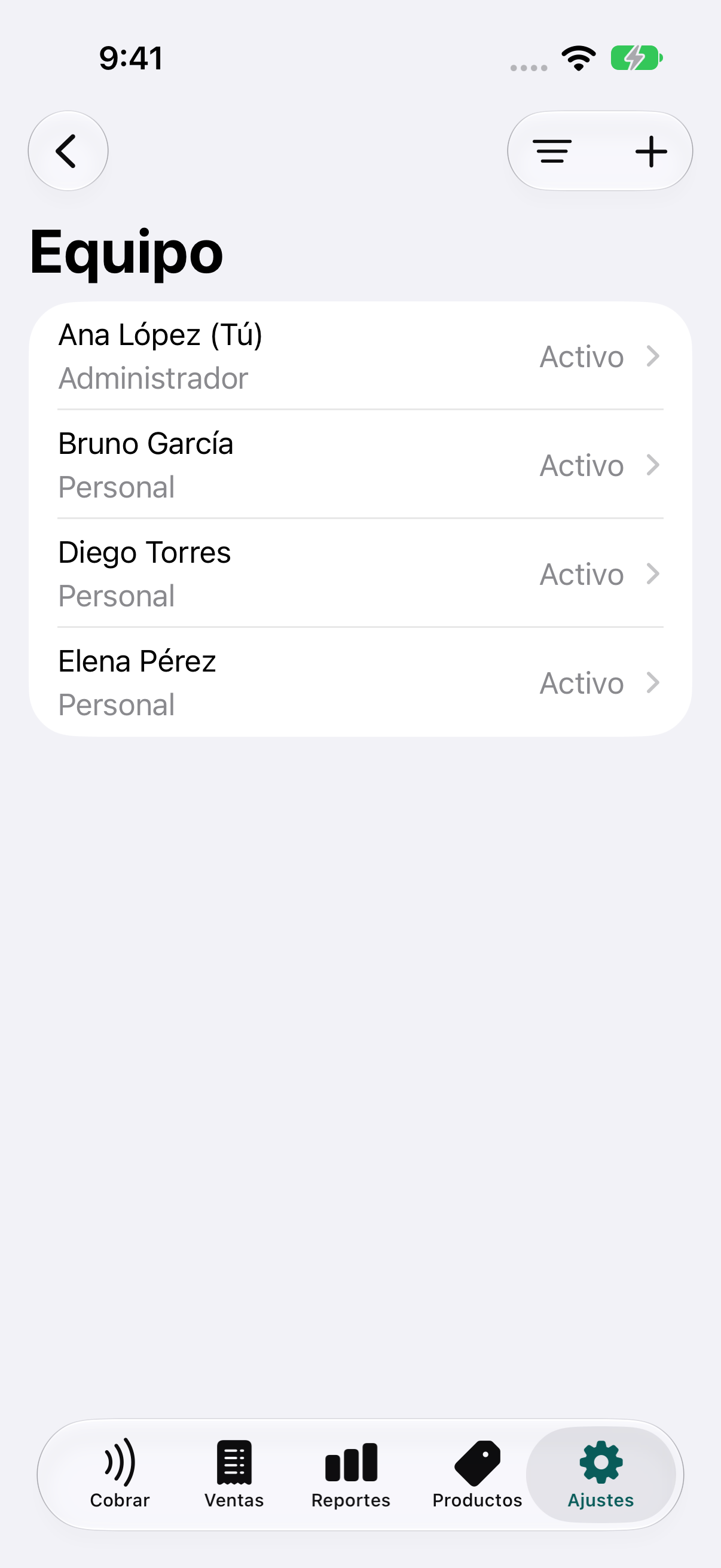 Lista de integrantes del equipo con nombre, rol y estado del acceso.